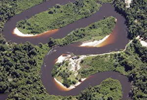 Virgin rainforest is seen in this aerial photo of the Amazon Basin Virgin rainforest is seen in this aerial photo of the Amazon Basin