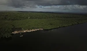 The Wider Image: Brazils mangroves on the front line of climate change The Wider Image: Brazils mangroves on the front line of climate change