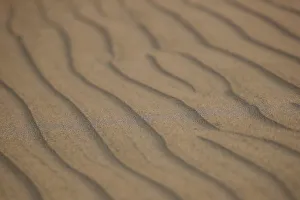 The Wider Image: Rallying-The Dakar, a world of sand and solitude The Wider Image: Rallying-The Dakar, a world of sand and solitude