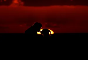 A woman and her dog watch the sunset at Anchor Bay outside Mellieha A woman and her dog watch the sunset at Anchor Bay outside Mellieha