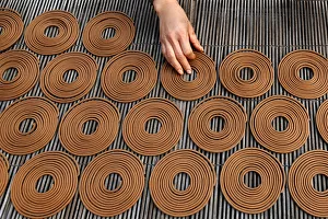 A woman dries incense in preparation for Tet, the traditional Vietnamese Lunar New Year A woman dries incense in preparation for Tet, the traditional Vietnamese Lunar New Year