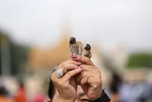 A woman releases birds in front of the Royal Palace during Vesak Bochea Day in Phnom Penh A woman releases birds in front of the Royal Palace during Vesak Bochea Day in Phnom Penh