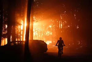 Woman rides a bicycle during sunset in a forest on the outskirts of Minsk Woman rides a bicycle during sunset in a forest on the outskirts of Minsk