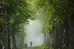 A woman walks through autumn mist at Arundel in Southern England A woman walks through autumn mist at Arundel in Southern England