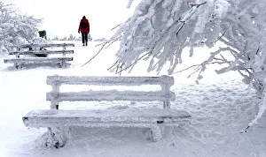 A woman walks past snow and ice covered trees and benches on top of the Feldberg mountain A woman walks past snow and ice covered trees and benches on top of the Feldberg mountain
