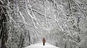 A woman walks through snow covered Mlociny Park following heavy snow fall in Warsaw A woman walks through snow covered Mlociny Park following heavy snow fall in Warsaw