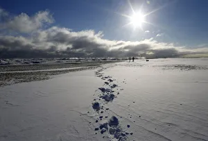 Two women walk their dogs along a frozen snow covered beach in Chicago Two women walk their dogs along a frozen snow covered beach in Chicago