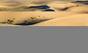 Desert Scenery Photography Prints: 005569