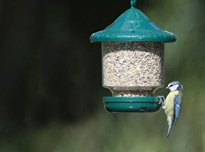 Wildlife Habitat Images Prints: 005648