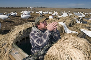 Waterfowl Hunting Prints: 005945