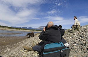 Grizzly Bear Alaska Prints: 01050dt