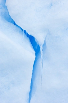 Iceberg Photography Prints: 01952dt