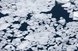 Polar Region Images Prints: 01986dt