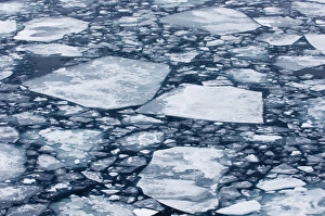 Images Dated 2005: Weddell Sea Brash Ice Print