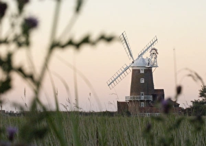 Cley Nature Reserve Prints: 02529dt
