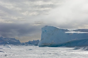Weddell Sea Antarctica Prints: 02601dt