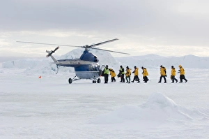 Prints of Eco-tourists boarding helicopter to be taken back to Kapitan Klebnikov Icebreaker from Emperor Penguin colony at Snow Hill Island Weddell Sea Antarctica Images Dated 2005 November: 02603dt Print: Eco-tourists Board Helicopter at Snow Hill Island