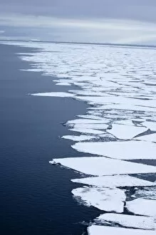 Images Dated 9th November 2005: Edge of broken pack ice - Brash Ice in Weddell Sea Antarctic