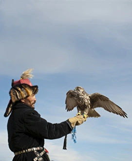 Kazhak Falconer with Saker Falcon at eagle hunters festival in western Mongolia Kazhak Falconer with Saker Falcon at eagle hunters festival in western Mongolia