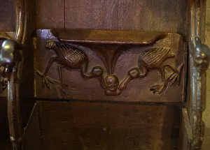Misericord in Lavenham Church depicting Spponbills Misericord in Lavenham Church depicting Spponbills