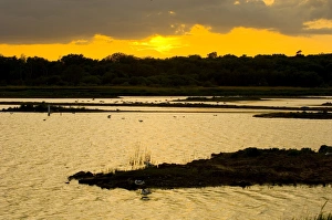 David Tipling Images Prints: Scrape at Minsmere at dusk May
