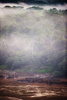 View across canopy of Amazonian rainforest at dawn Tambopata Peru View across canopy of Amazonian rainforest at dawn Tambopata Peru