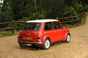 Rover Prints: Rover Mini Cooper Print 1998 National Motor Museum