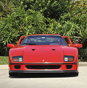 Ferarri 507590 Print