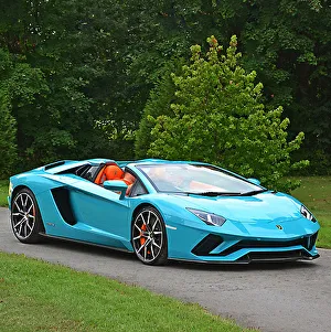 LAM205242 Car Print