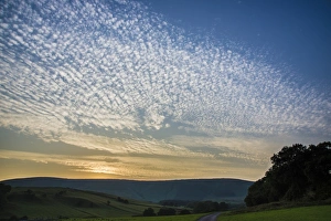 Altocumulus Mackerel Sky Print at Sunset