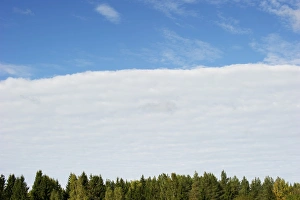 Cloudy Forest Landscape Prints: Approaching weather front, clouds over forest, Sweden, september