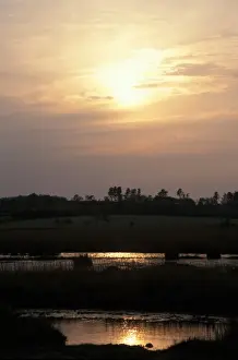Setting Sun Landscape Prints: Conservation - Reserves - Setting sun over Dingle Marsh, Suffolk Wildlife Trust