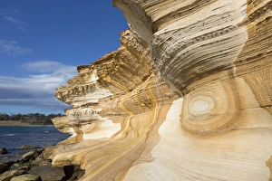 Painted Cliffs Tasmania Prints: Eroded sandstone sea cliffs, Painted Cliffs