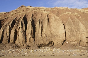 England Coastal Scenery Prints: Eroded sea cliffs and pebbles on beach, Filey Bay, Filey, East Yorkshire, England, January
