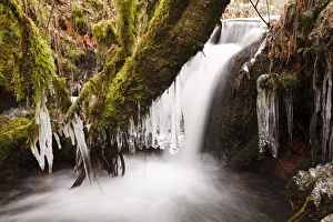 Icicles over Upland Stream Print