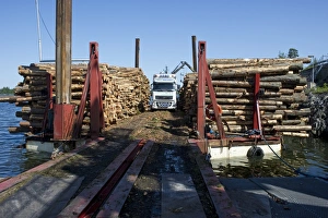 Timber Industry Sweden Prints: Lorry with grapple loading logs onto timber barge
