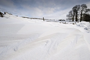 Cumbrian Landscapes Prints: Patterns in snowdrift at back of drystone wall after snowstorm, Cumbria, England, March