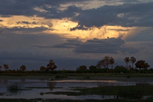 African Evening Sky Prints: Setting, sun, water, Lebala, Okavango, Delta, Botswana; africa; african; sunset