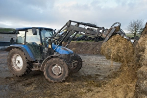 European Agricultural Machinery Prints: Tractor with loader and grab in silage clamp, England, november