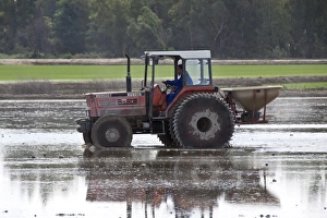 Framed Print : Tractor in Paddy Field Print