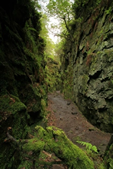 Black Forest Landscapes Prints: View of deep chasm created by massive landslip on hillside