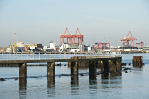 European Harbour Prints: View of dock cranes at container port, Dublin Port, Dublin Bay, Ireland, november
