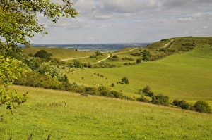 Buckinghamshire Countryside Prints: View of downland and footpath, Ridgeway Path