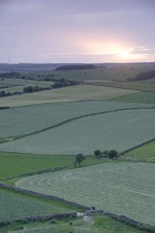 Yorkshire Countryside Images Prints: View of fields and drystone walls at sunset