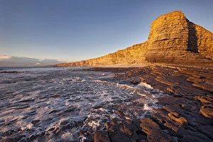 Welsh Coastline Photography Prints: View of limestone cliffs in evening sunlight