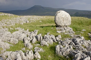 Limestone Pavement UK Prints: View of limestone pavement and erratic rock