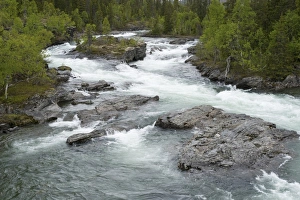 Swedish Wilderness Photography Prints: View of rapids in fast flowing river, Gavostjukke, Leipikvattnet, Lappland, Sweden, June