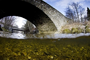 Scottish River Landscape Prints: View of river and bridge from above and below surface of water