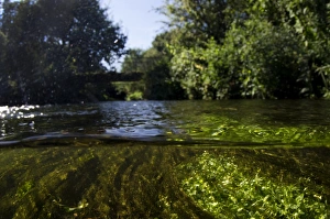 Water Surface Reflection Photography Prints: View of river from above and below surface of water