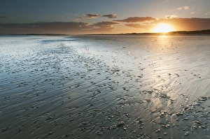 Camber Sands Beach Prints: View of sandy beach during low tide at sunset, Camber Sands, East Sussex, England, June